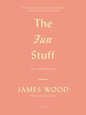 cover image of The Fun Stuff